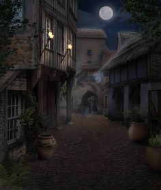 an old town street at night with the full moon in the sky and some potted plants