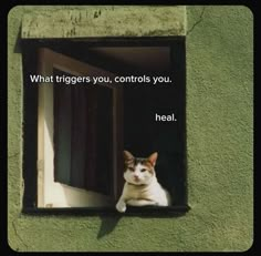 a cat that is sitting in a window sill with the caption, what triggeres you controls you heal