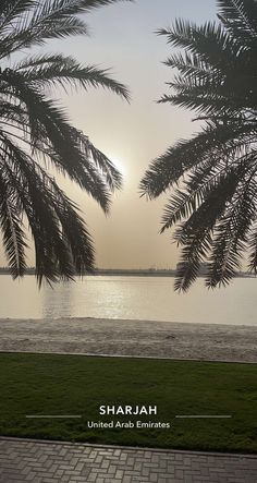 the sun is setting behind some palm trees by the water's edge, with an advertisement for shariah united arab emirates