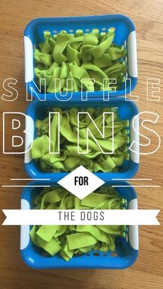 two blue bins filled with green vegetables on top of a wooden table