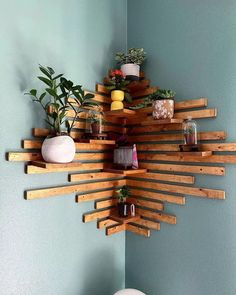 a wooden shelf with plants on it in the corner of a blue walled room next to a toilet