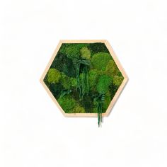 an arrangement of broccoli and other greenery in a hexagonal frame