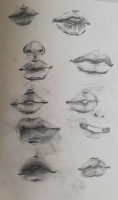 pencil drawings of different shapes and sizes of lips