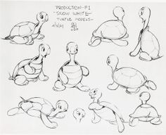 an image of turtle models drawn in pencil