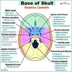 the structure of the human skull with labels on it and labeled in different languages, including names