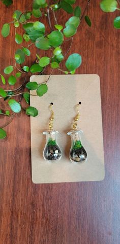 a pair of earrings sitting on top of a wooden table next to a green plant