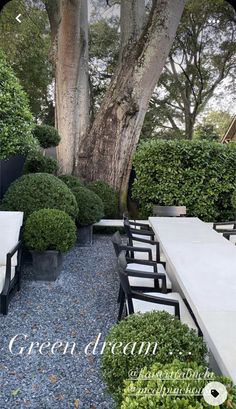 an outdoor dining area with tables and chairs, surrounded by trees in the back ground