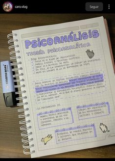 a notebook with some writing on it and a pen sitting next to the page that is written in spanish