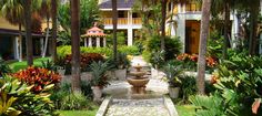 a fountain in the middle of a garden surrounded by palm trees and other tropical plants