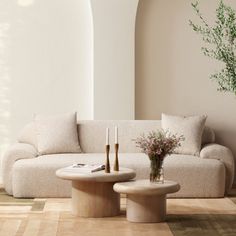 a living room with a couch, table and potted plant on the floor in front of it