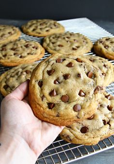 chocolate chip cookies on a cooling rack with text overlay that reads quarter pound chocolate chip cookies