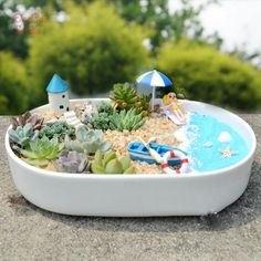 there is a tray with succulents and sand in it