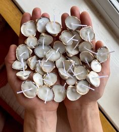 a person holding several small shells with toothpicks in them