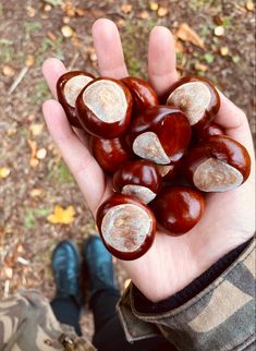 a person holding some chestnuts in their hand