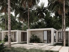 an artist's rendering of a modern house surrounded by palm trees