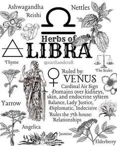 an image of the symbols for libra, which are used to spell out signs