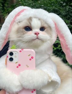 a cat dressed up like a bunny holding a cell phone