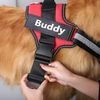 a dog is being held by a person with a red and black harness that says buddy on it