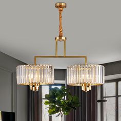 a chandelier hanging over a dining room table with chairs and a potted plant