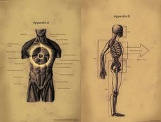 an old book with some drawings of human body parts and text on the front cover