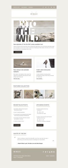 the wordpress theme is clean and modern