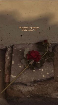 a red rose laying on the ground next to a brick wall with an inspirational quote above it