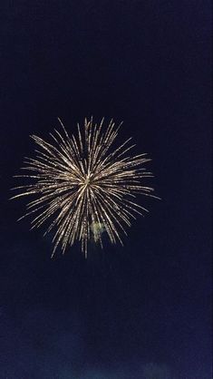 fireworks are lit up in the dark night sky with no one around them to see it