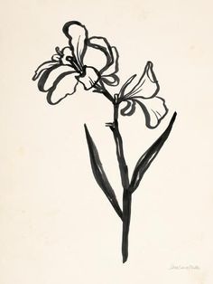 a black and white drawing of a flower