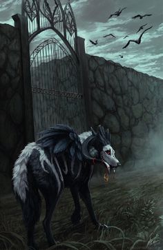 a black and white wolf standing in front of a gate with bats flying over it