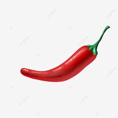 a red hot pepper on a white background with clipping area for text or image