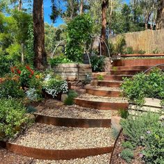 a garden with steps leading up to the trees