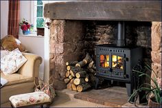 a wood burning stove with logs in front of it and a potted plant next to it