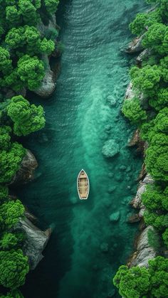 a boat floating in the middle of a river surrounded by green trees and rocks, as seen from above