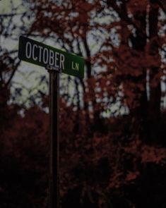 a green street sign sitting in front of trees with red leaves on the tops and bottom