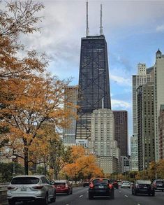 cars are driving down the street in front of tall buildings with autumn leaves on them