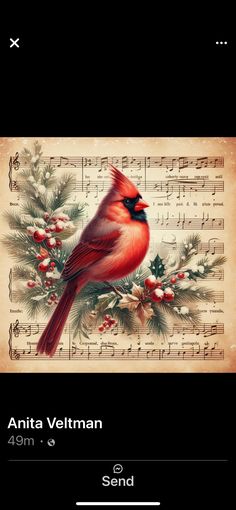 a red bird sitting on top of a sheet of music with holly branches and berries