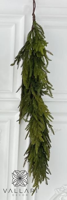 a green plant hanging from the ceiling in a room with white walls and trimmings