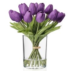 purple tulips are in a clear glass vase