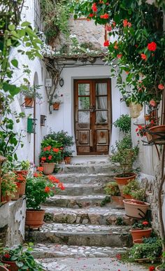 an alleyway with potted plants and flowers on the steps leading to a door