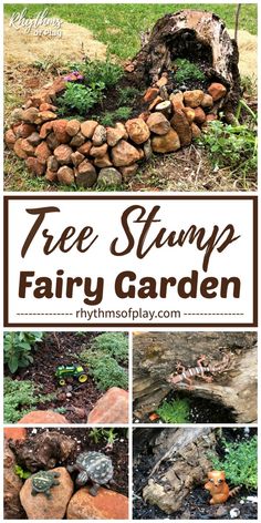 several pictures of different types of trees stumps in the garden with text overlay that reads tree stump fairy garden