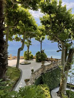 an outdoor area with trees and plants on the ground, overlooking the water in the distance