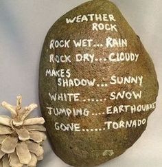 a rock with writing on it next to a pine cone