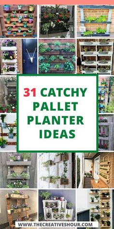 the words catchy pallet planter ideas are overlaid with images of different plants