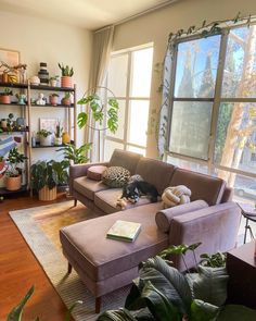 A bohemian living room with a dog on the sofa Apartment Art Ideas, Apartment Deco, Apartment Aesthetic, Apartment Life, Apartment Decor Inspiration, Wallpaper Decor, Remodel Bedroom, Apartment Inspiration, Living Room Decor Apartment