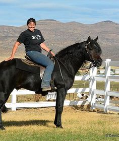 a woman riding on the back of a black horse