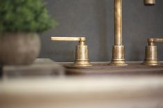 two brass faucets in a bathroom sink next to a potted plant