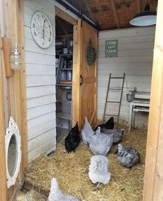 there are many chickens in the barn