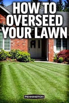 a lawn with the words how to overseed your lawn in front of a house