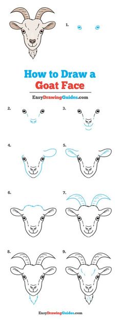 how to draw a goat's face with easy step by step instructions for kids