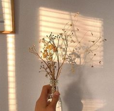 a hand holding a vase filled with flowers in front of a shadow on the wall